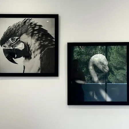 Modern With Pool וילה