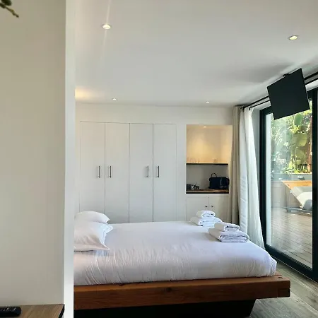 Modern With Pool